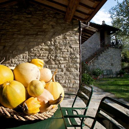 Brigolante Guest Apartments Assisi Room photo